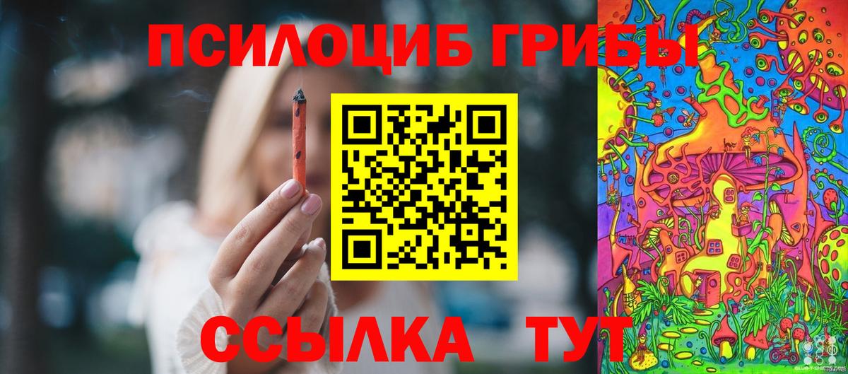 Галлюциногенные грибы Psilocybine cubensis Дивногорск