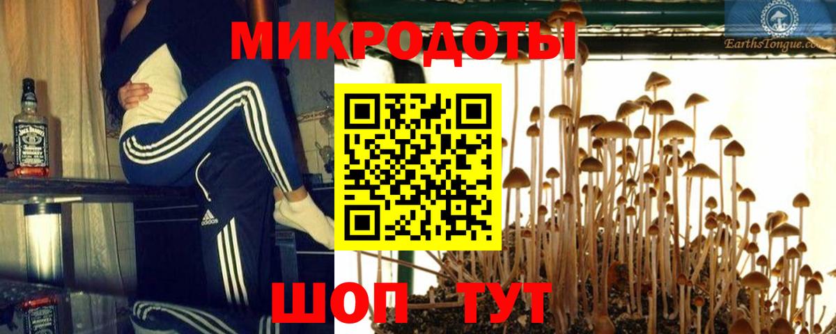 Дивногорск  Псилоцибиновые грибы прущие грибы  Вход с VPN 